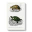 Tortoise & Turtle Illustrations PL. 1 by Charles D Orbigny - Wrapped Canvas-55361402