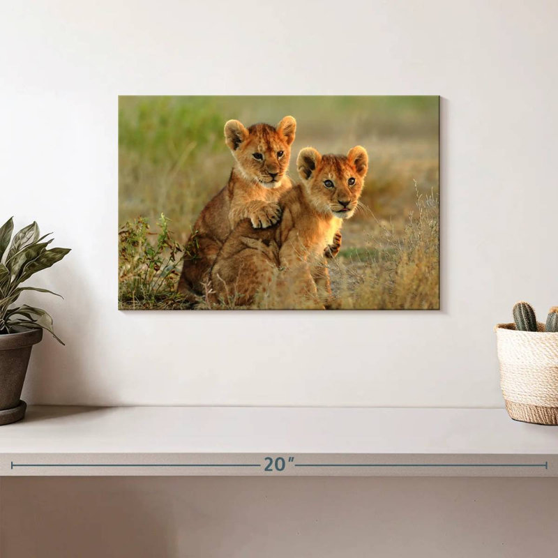 Brampt Baby Lions, 8" H x 12" W