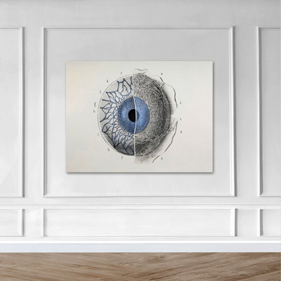 «Eye Anatomy Art», impression sur toile tendue