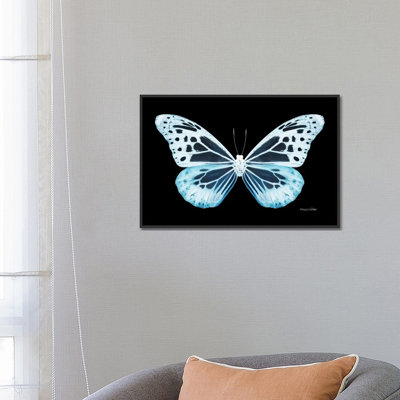 « miss papillon x-ray xxiv », impression sur toile