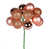 Or rose