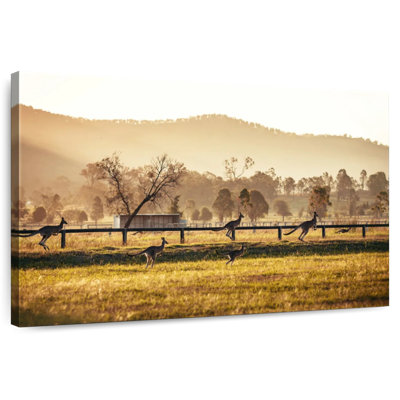 Brampt Leaping Hunter Valley Kangaroos