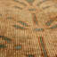 Wool Floral Area Rug