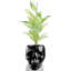 Handmade Pot Planter-52454988