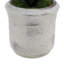 22" Artificial White Phalaenopsis Orchids