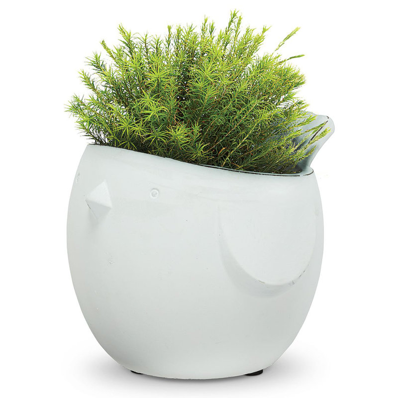 Imkamp Ceramic Pot Planter