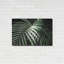 «Palm Fronds Green» par Debra Van Swearingen-2025995286