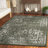 Timothe Performance Oriental Rug-942271264