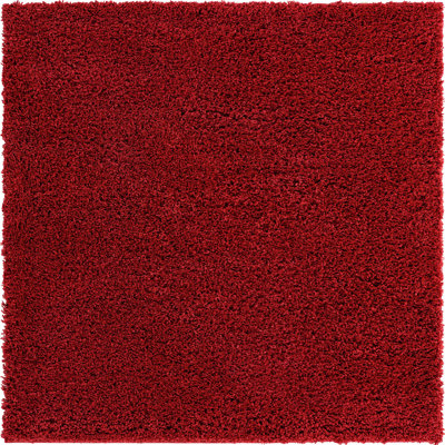 Indoor Rug