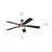 60'' Ceiling Fan with LED Lights-361292352