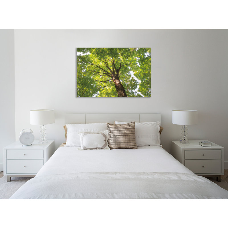 «Hardwood Forest Canopy V», toile tendue par Alan Majchrowicz, H 40 po x l 60 po x P 1,5 po