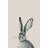 'Lonely Rabbit' Print On Wrapped Canvas-452916751