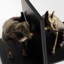 Marathon Cast Iron Non-Skid Bookends