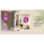 Miroir arc-en-ciel 47,2 po x 18 po