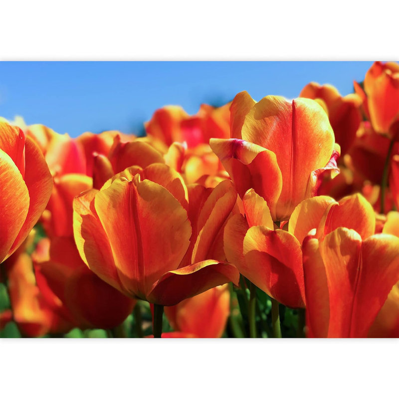 Murale florale, L 100 po x l 144 po