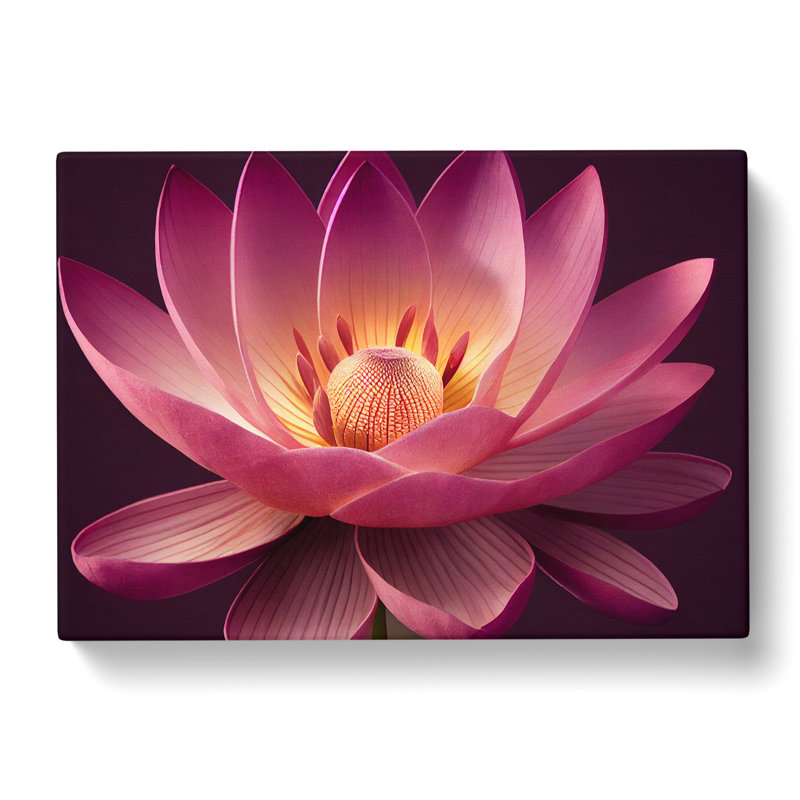 Dashing Lotus Flower - Wrapped Canvas Print, 35cm H x 50cm W x 3cm D