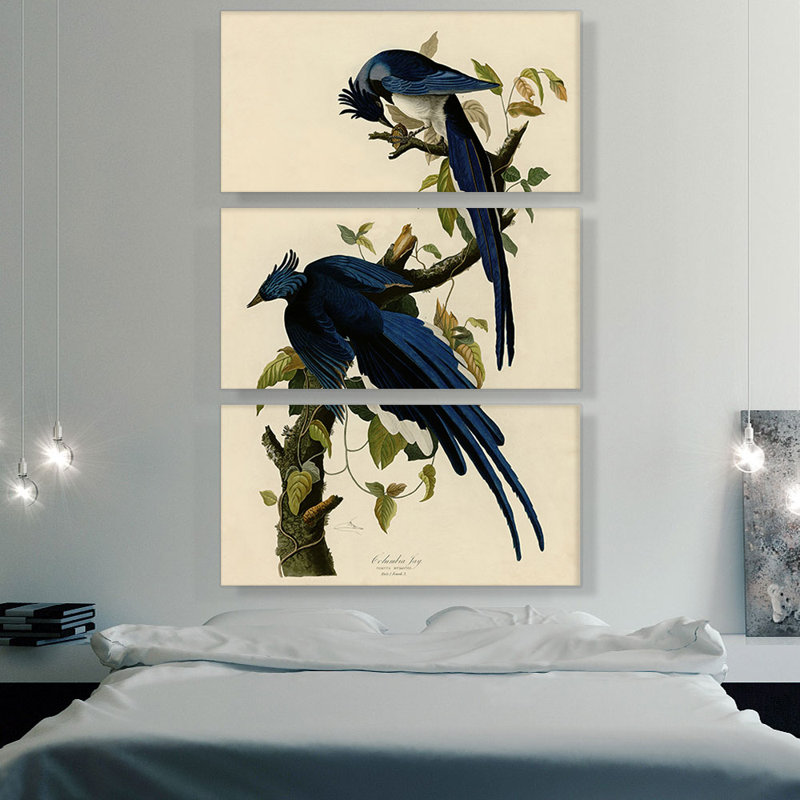 «Columbia Jay» par James Audubon, reproduction d'art sur toile tendue, H 40 po x l 26 po x P 1,5 po