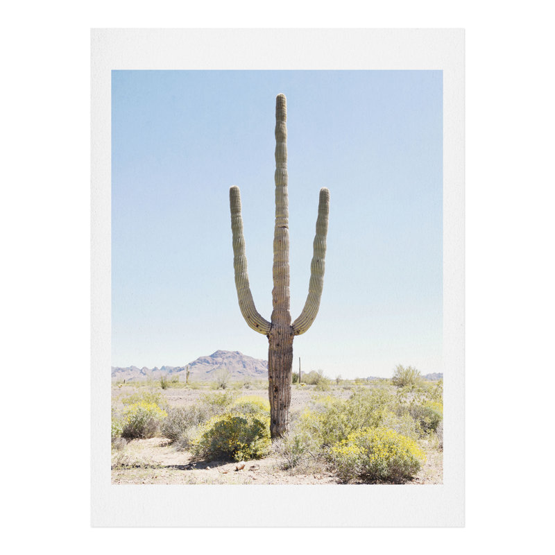 «Lone Cactus» par Bree Madden - reproduction de photo, H 10 po x l 8 po x P 2 po, Papier, Blanc mat