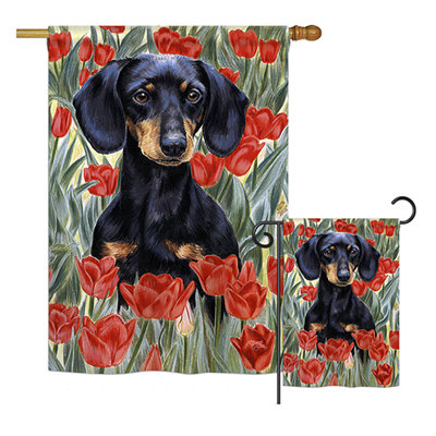 Portier Double Sided 40'' H x 28'' W Polyester Flag Set