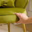Velvet Armchair-513220903