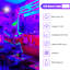 Lumière UV à DEL noire avec lumière de 150 W avec cordon de 10 pi et prise USB, projecteur ultraviolet avec ruban lumineux pour scène de Halloween, soirée disco