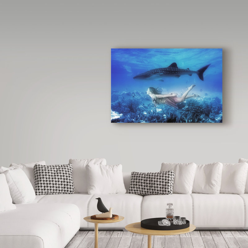 «Swim with Tiger Shark», art sur toile, H 22 po x l 32 po