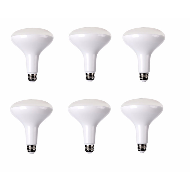 15W E26/Medium LED Light Bulb, 2700k