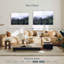 Paysage forestier apaisant Kerrick-107489462