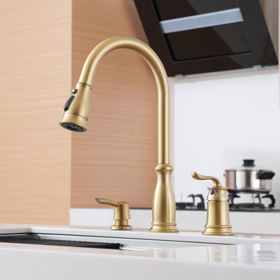 Boyel Living Pull Down Kitchen Faucet with Soap Dispenser
