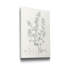 «Botanical Study in Sage VIII», reproduction d'art sur toile tendue-1978652607