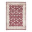 Hand Knotted Oriental Area Rug