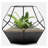 Norvell Glass Indoor Terrarium-37706609-37706605