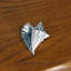 2" Conch Shell Knob-39948744