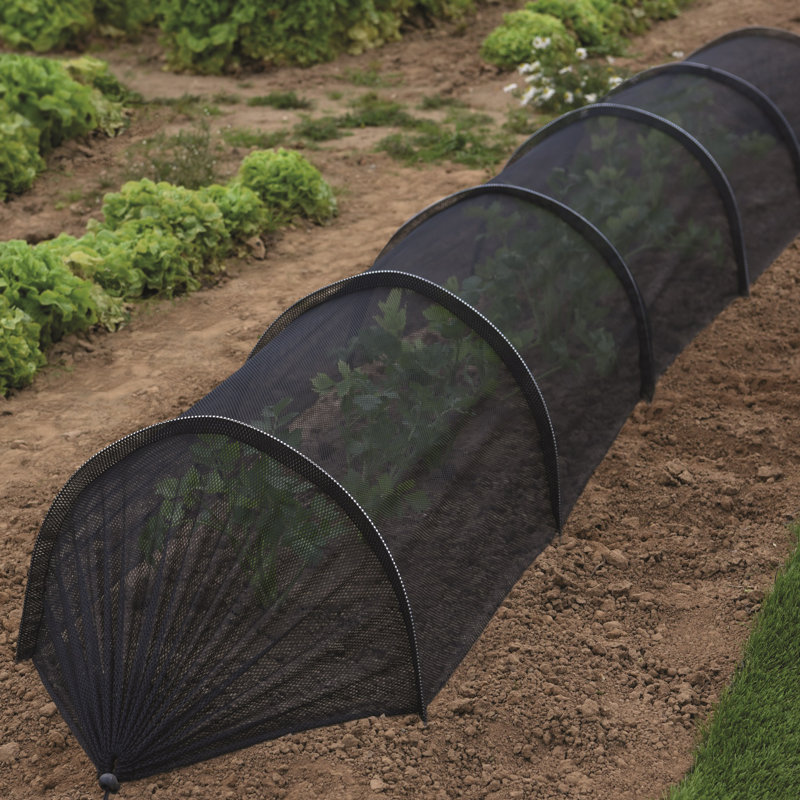 Garden Grow Pvc Greenhouse Tunnel, Black