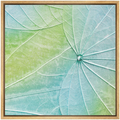 Colorful Leaves " Detailed Green And Teal Leaf "