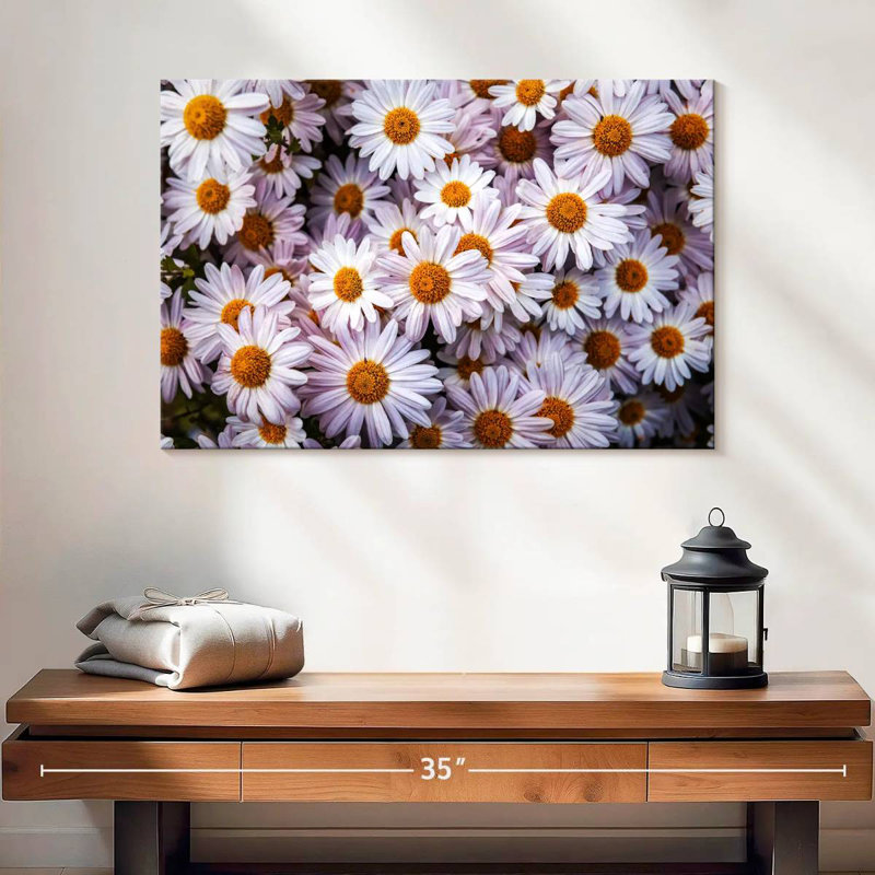 Harnek Shasta Daisies, 16" H x 24" W