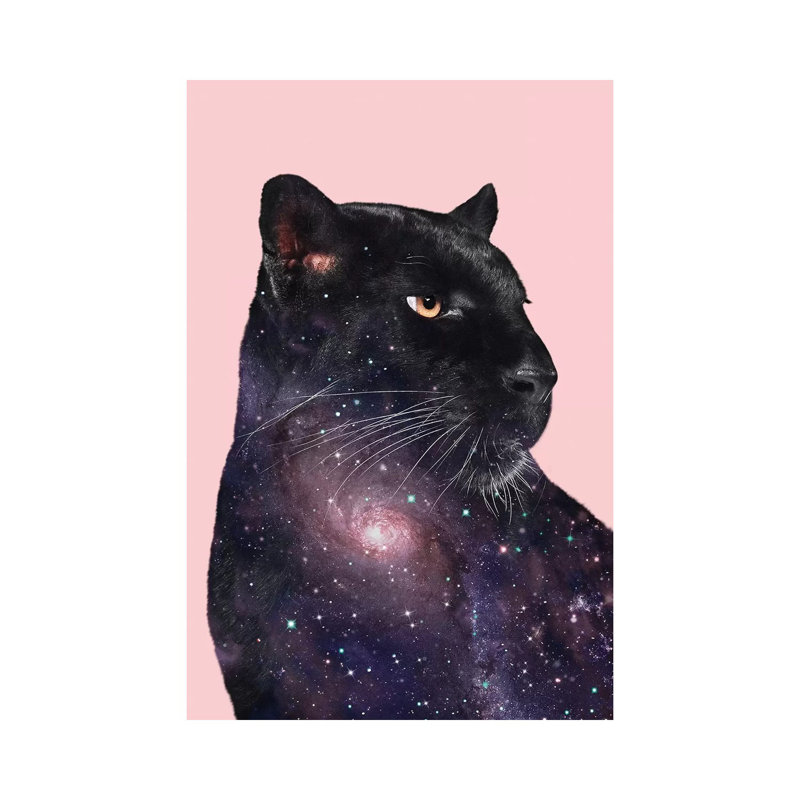 «Galaxy Panther» par Jonas Loose, impression sur toile tendue, H 12 po x l 8 po x P 0,75 po