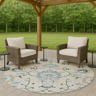 Machine Washable Indoor/Outdoor Chantille ACN2291 Global Rug