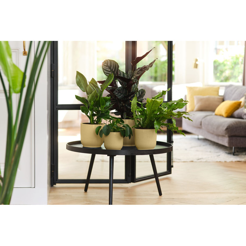 Pot Planter, 12.9cm H x 14.1cm W x 14.1cm D, Butter Yellow