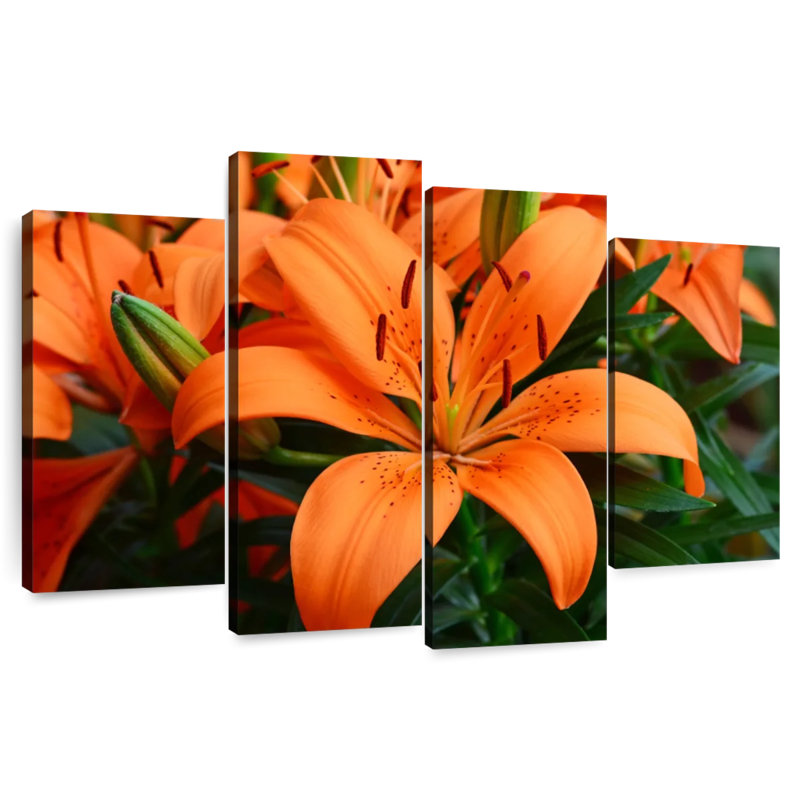 Fleurs de lys orange Harnek