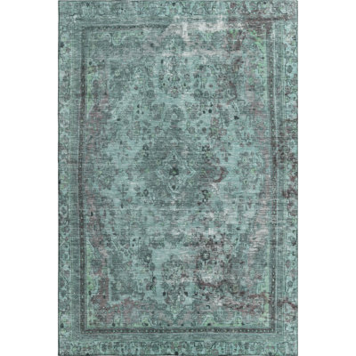 Premium Machine Washable Lampkins AMF1646 Global Rug