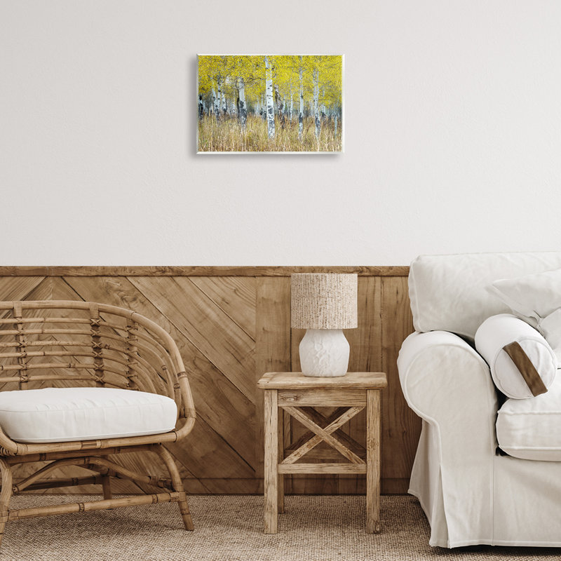 «Dense Birch Trees» par Rick Berk, H 10 po x l 15 po