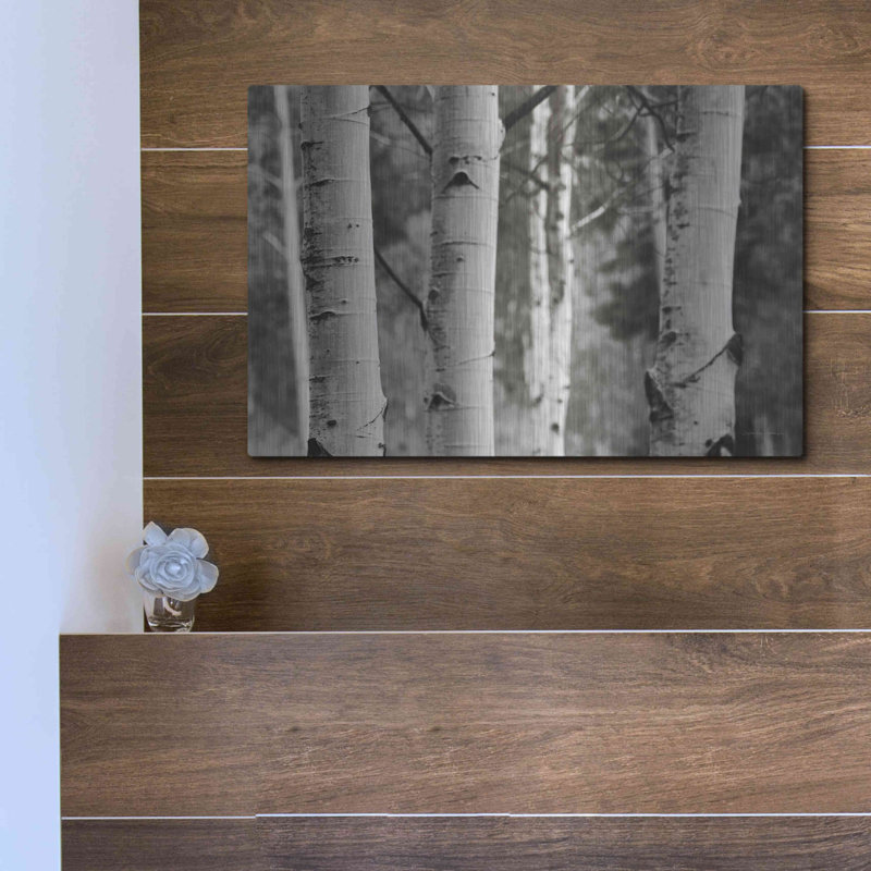 "Aspens IV" par Debra Van Swearingen, H 12 po x l 16 po