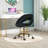 Quadry Velvet Task Chair-540841068