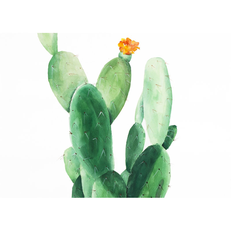 Aquarelle, pagaie, cactus avec fleur - décor de toile exotique