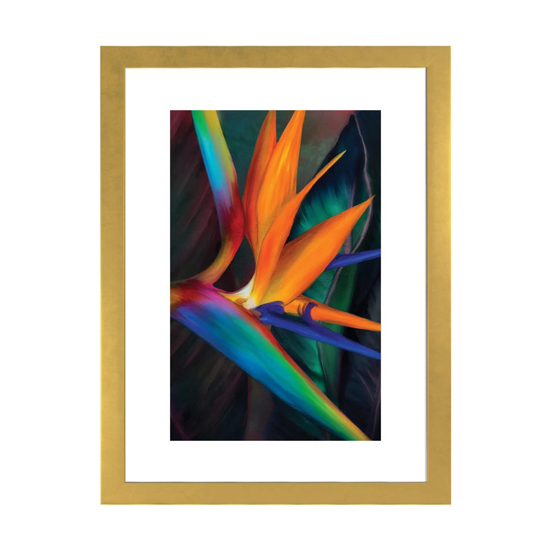 «Birds of Paradise» par Juliana Loomer - reproduction, H 24 po x l 16 po x P 1 po, Papier encadré doré