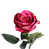 Rose Red is out of stock selected