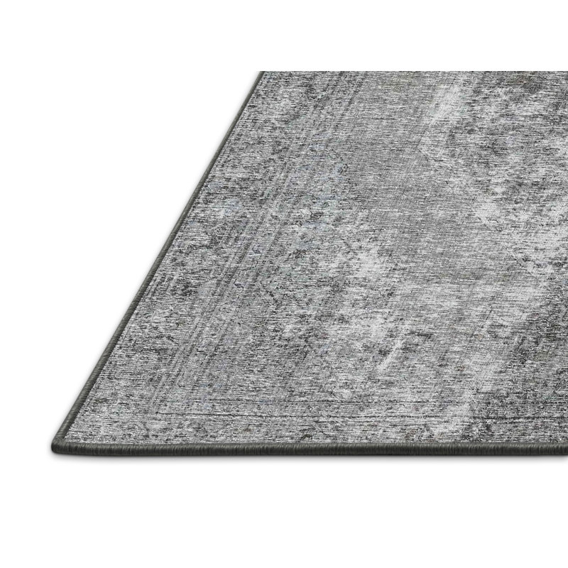 Tapis traditionnel gris / beige Demarean, Rectangle 5 pi x 7 pi