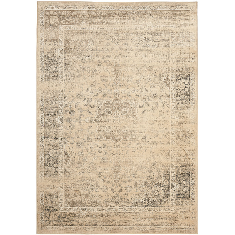 Beauchamp Oriental Area Rug, Rectangle 122 x 170 cm