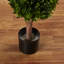 Arbre artificiel Darby Home Co - plante topiaire artificielle en forme de boule de 5 pi en pot lesté - fausses plantes pour les décorations d'intérieur ou de porche